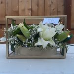 photo_2025-08-24_00-37-09